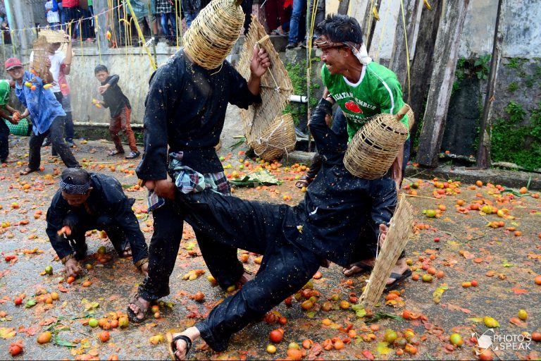 Langit biru cerah menggelayut menghiasi di kawasan Lembang, Kabupaten Bandung Barat. Wajah garang di balik tameng siap bertempur. Buah tomat digenggaman tangan siap dilempar. Begitu para gadis memasuki arena yang membawa nampan selesai dengan pembukaannya, sontak ratusan buah tomat meluncur di udara menghujam dua kubu yang berseteru. Warga pun bersorak-sorai dan dari mereka yang terkena lemparan tomat kembali melemparkan tomat walau tidak menentu kemana arah tujuan. Perisai yang dipakai perang kini telah beraroma tomat busuk dan jalan pun berubah berubah memerah. Awalnya kedua kubu saling melempar dari jarak jauh, namun waktu demi waktu mereka saling mendekat. Sekitar dua ton tomat afkiran alias tomat yang mulai busuk dan tidak laku dijual itu langsung tandas dalam waktu hampir mencapai 30 menit saja. Perang tomat yang sering kita lihat di Spanyol inilah yang sangat ditunggu warga. Perang tomat ini menjadi ritual Hajat buruan yang diakhiri dengan Rempug Tarung Adu Tomat di Kampung Cikareumbi, Desa Cikidang, Kecamatan Lembang, Kabupaten Bandung Barat, Rabu, 19 Oktober 2016. "Hajat buruan merupakan tradisi dari leluhur kita yang harus kita jaga dan lestarikan" Ujar Abah Effendi, warga setempat. Seniman dan budayawan Mas Nanu Muda mengatakan, perang tomat menjadi bentuk pengembangan dari tradisi Hajat Buruan yang telah berjalan beberapa tahun kebelakang. Dan kini perang tomat menjadi ciri dari proses Hajat Buruan Cikidang. "Dari perang tomat ini memliki makna yang bertujuan membuang dan melempari sifat busuk manusia" tambahnya. Perang tomat pun usai, kini jalanan berubah menjadi lautan tomat. Warga yang awalnya saling serang kini bergotong-royong mengumpulkan sisa-sisa perang. Tomat sisa perang yang terkumpul nantinya dapat dimanfaat kembali sebagai pupuk kompos. PHOTO'S SPEAK/Achmad Nugraha
