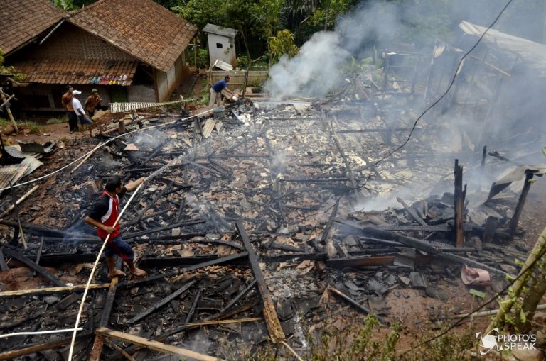 Si Jago Merah Habiskan Dua Rumah
